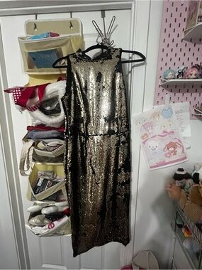 Zara Gold and Black Sequin Backless Dress